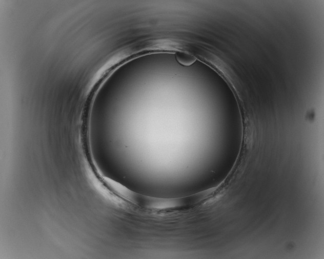 X0000116001139200911191418