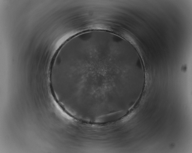 X0000116001141200911191418