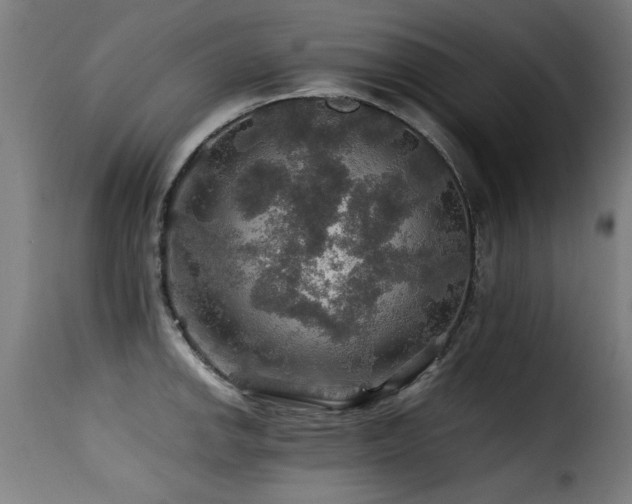 X0000116001142200911191418