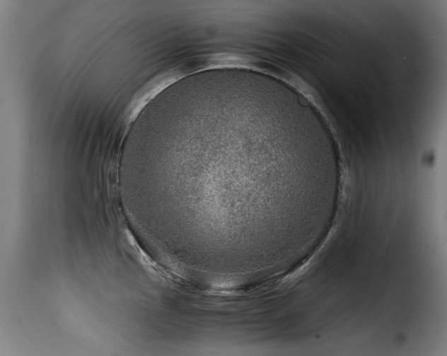 X0000116001145200911191418