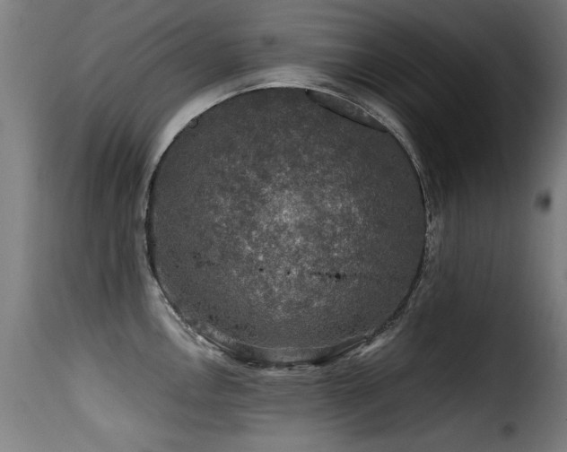 X0000116001146200911191418