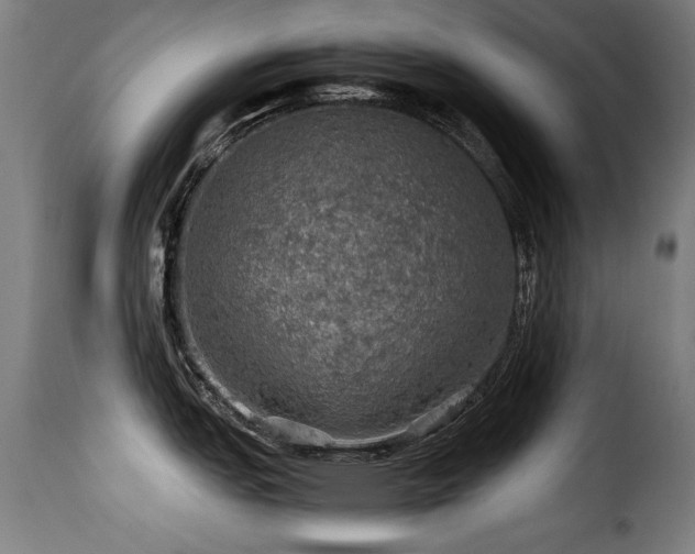 X0000116001151200911191419