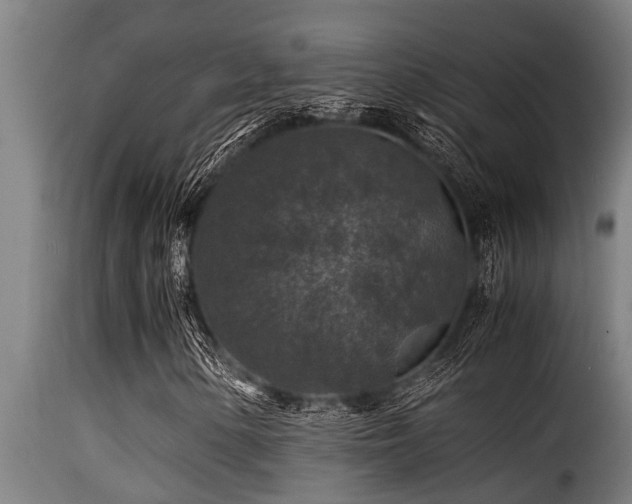 X0000116001154200911191418