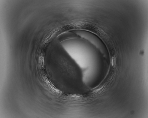 X0000116001155200911191418