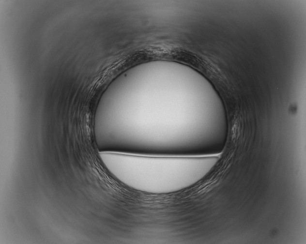 X0000116001156200911191418