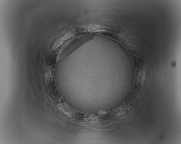 X0000116001157200911191418