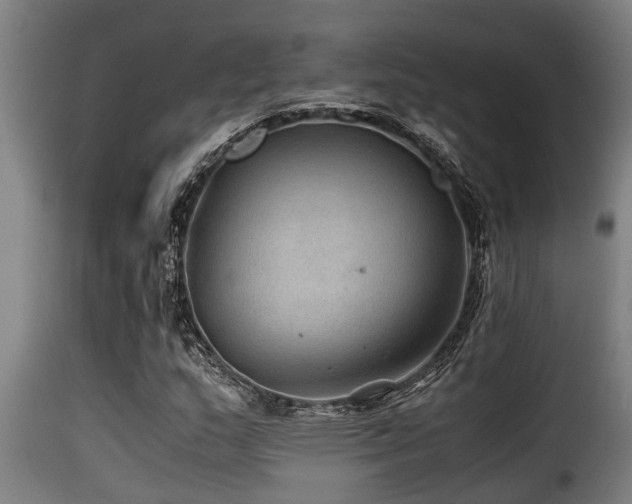 X0000116001159200911191418