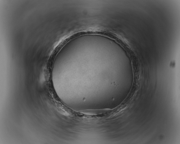 X0000116001160200911191418