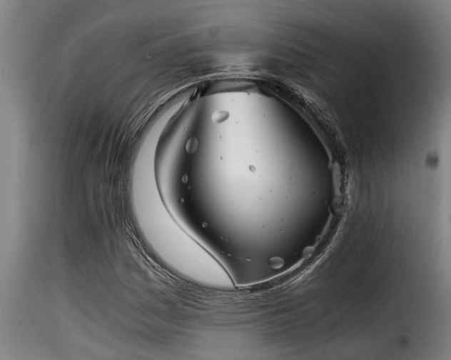 X0000116001161200911191418