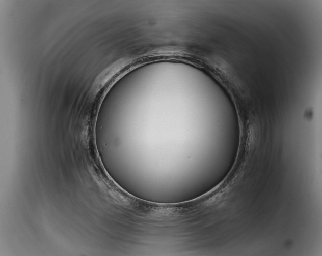 X0000116001162200911191418