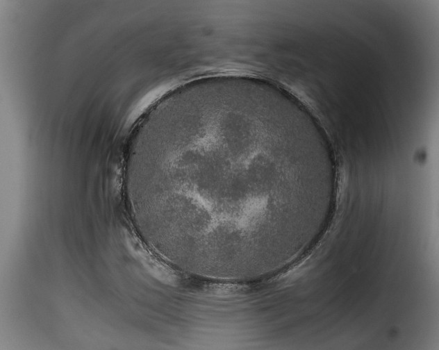 X0000116001163200911191418