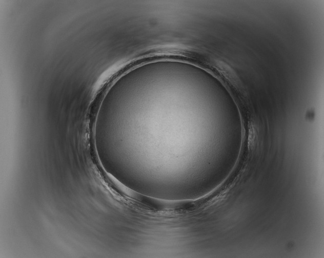 X0000116001164200911191418