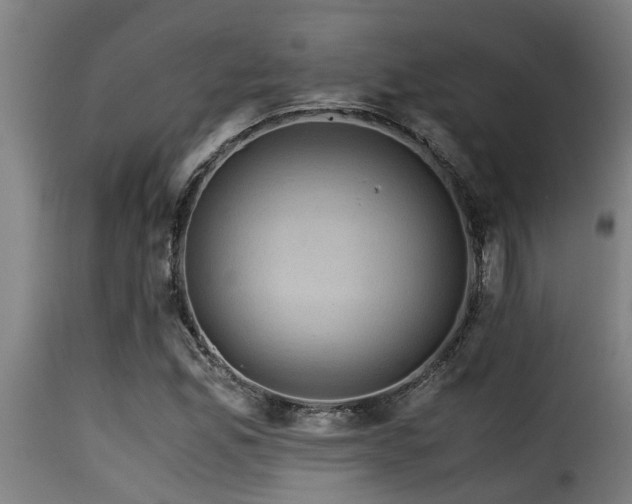 X0000116001165200911191418