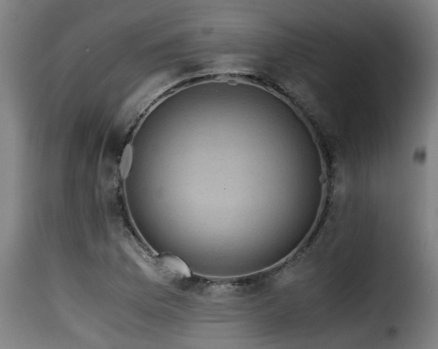 X0000116001169200911191417