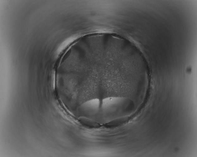 X0000116001171200911191417