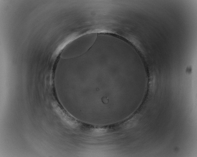 X0000116001173200911191417