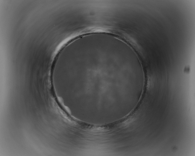 X0000116001174200911191417