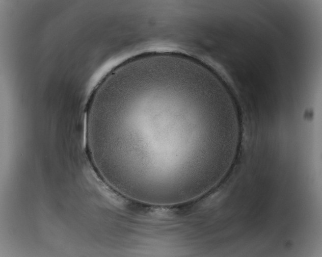 X0000116001175200911191417