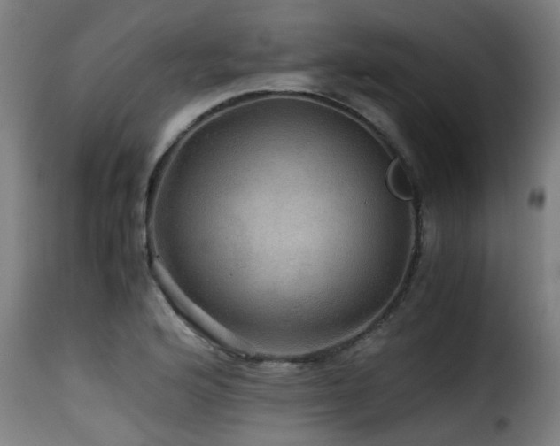 X0000116001176200911191417