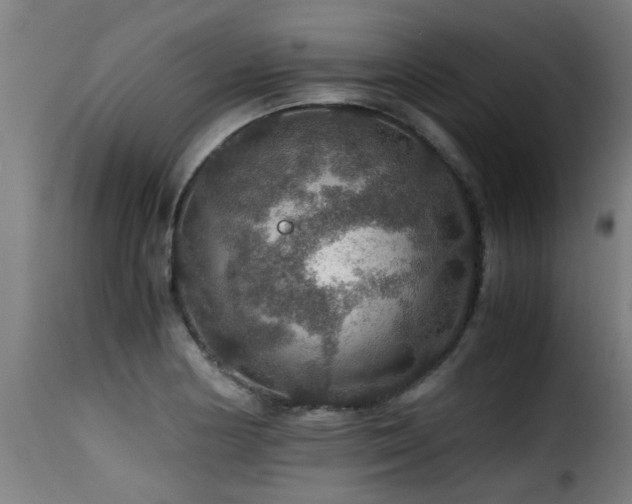 X0000116001178200911191417