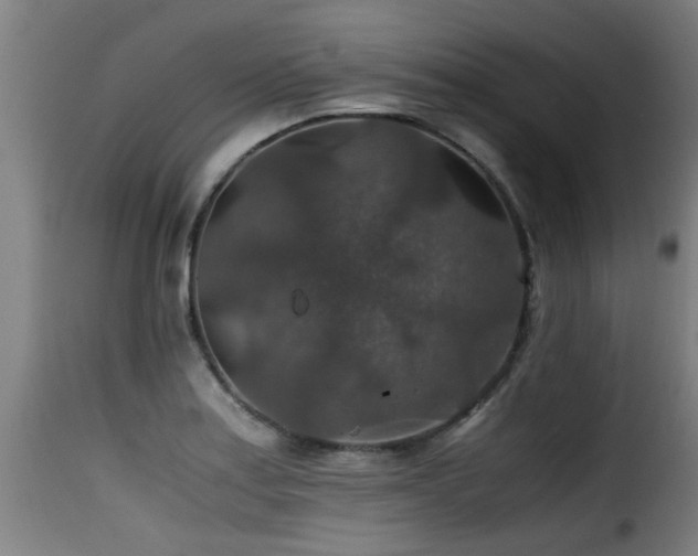 X0000116001179200911191417