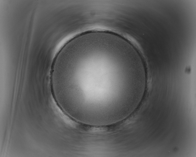 X0000116001183200911191417