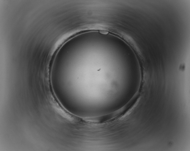 X0000116001184200911191417