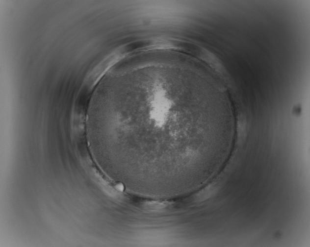 X0000116001185200911191417