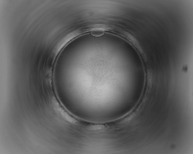 X0000116001186200911191417