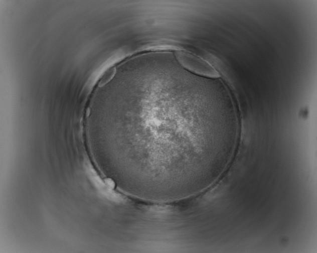 X0000116001189200911191417