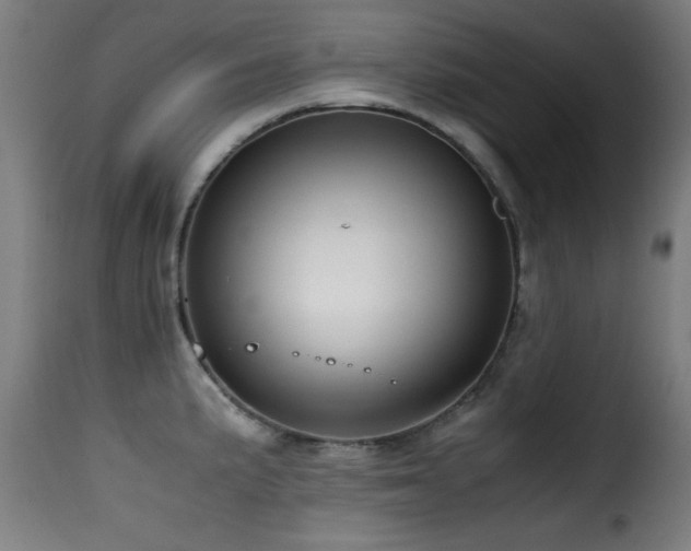 X0000116001191200911191417