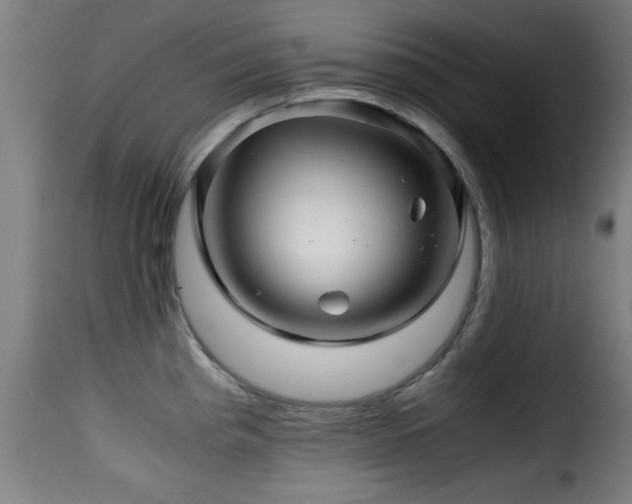 X0000116001193200911191417