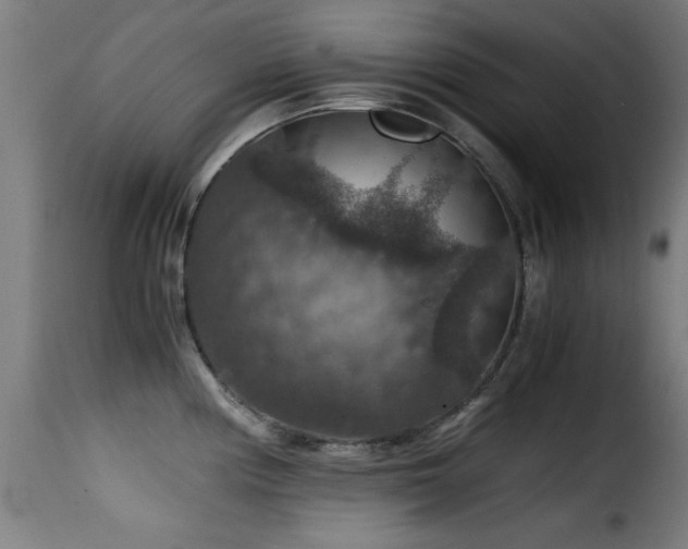 X0000116001194200911191417