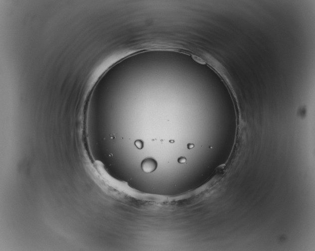 X0000116001195200911191417