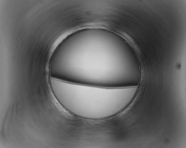 X0000116001196200911191417