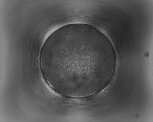 X0000116001197200911191417