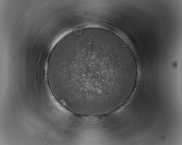 X0000116001198200911191417