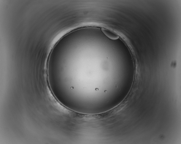 X0000116001199200911191417