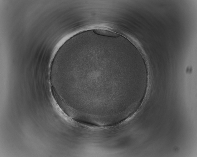 X0000116001200200911191417