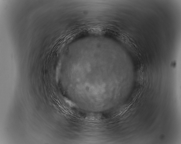 X0000116001201200911191416