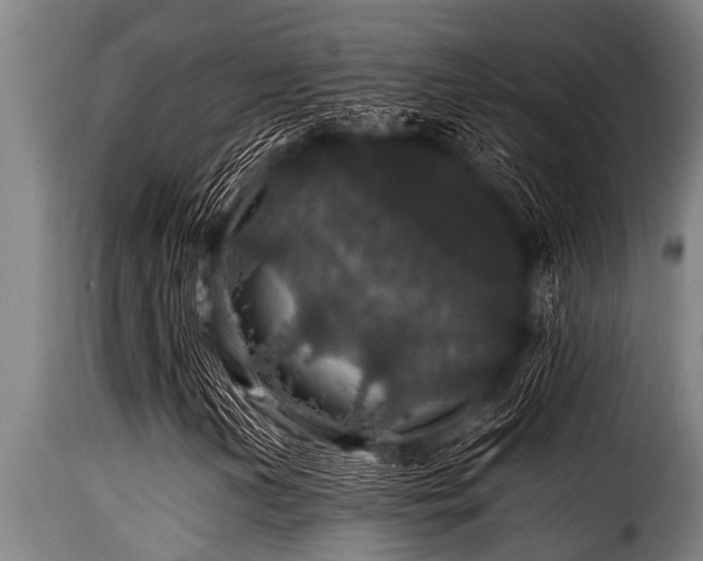 X0000116001202200911191416