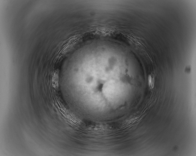 X0000116001203200911191416