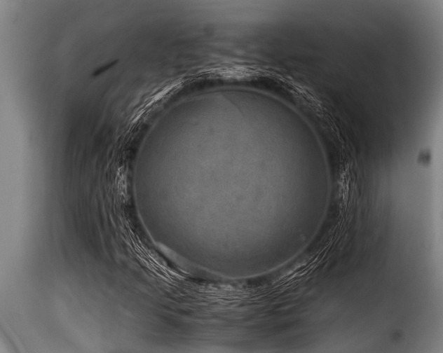 X0000116001205200911191416