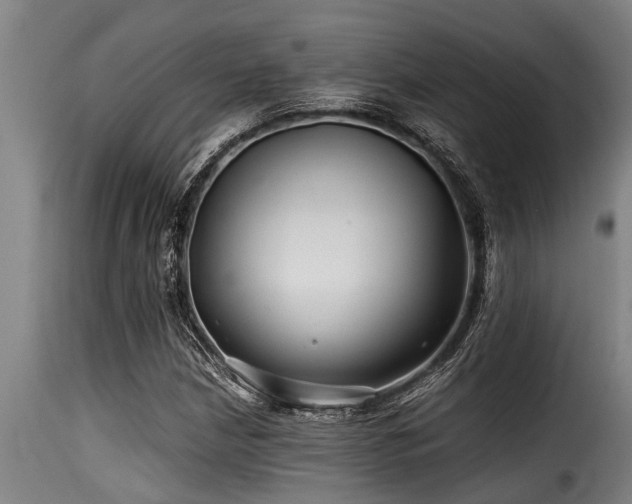 X0000116001210200911191417