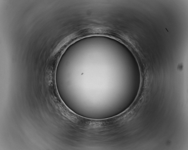 X0000116001211200911191417