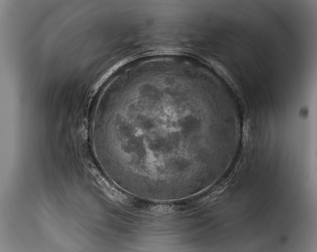 X0000116001212200911191417