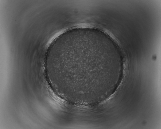 X0000116001213200911191417