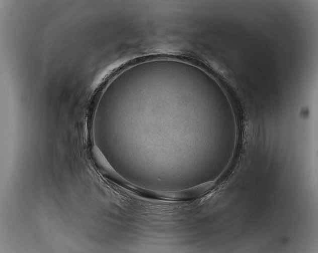 X0000116001214200911191417