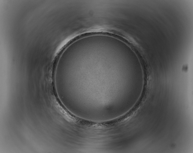 X0000116001216200911191417