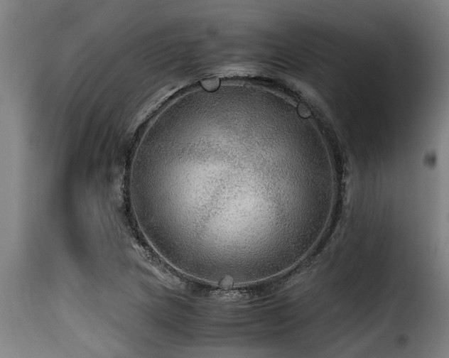 X0000116001217200911191417